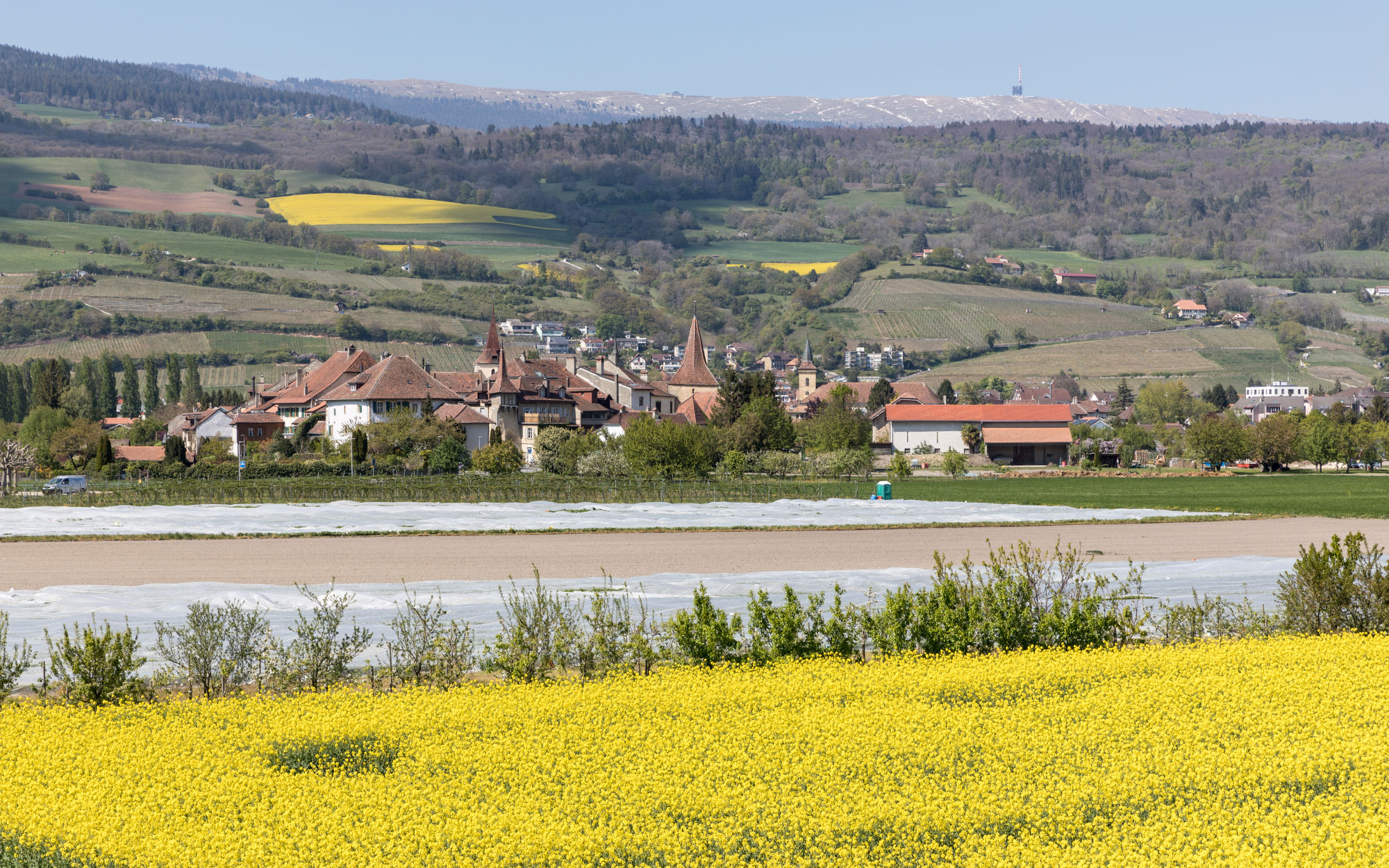 Le Landeron (Photo License: CC-BY-SA-4.0)